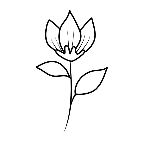 Krásné květiny a listy dekorativní ikonu — Stockový vektor