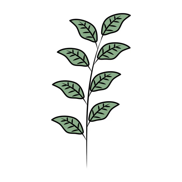 Rama con planta de hojas — Vector de stock