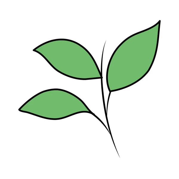 分枝，叶生植物 — 图库矢量图片