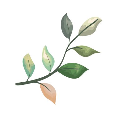 Yapraklı ağaç dalı.