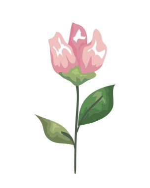 güzel çiçek dekoratif simgesi