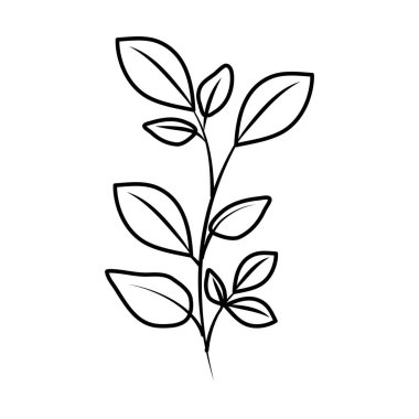 Yapraklı ağaç dalı.