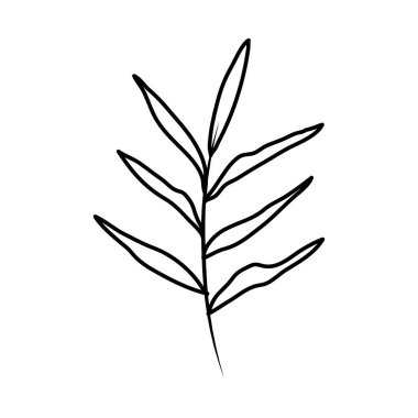 Yapraklı ağaç dalı.