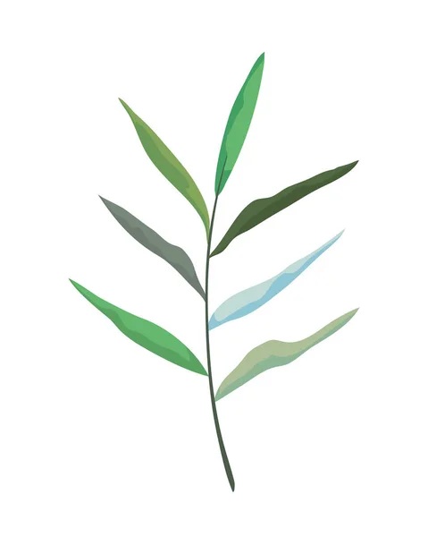 Κλαδί με φύλλα φυτών — Διανυσματικό Αρχείο
