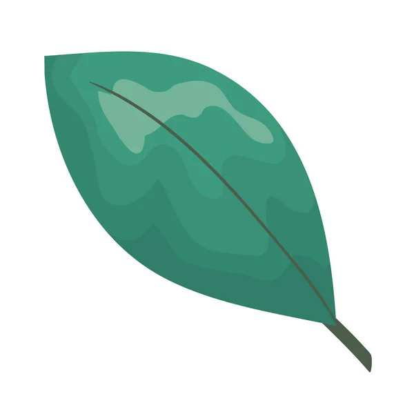 Écologie feuille plante icône — Image vectorielle