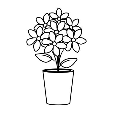 toprak kap içinde çiçek dekorasyon