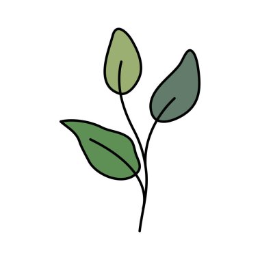 Yapraklı ağaç dalı.