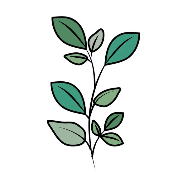 Rama con planta de hojas — Vector de stock