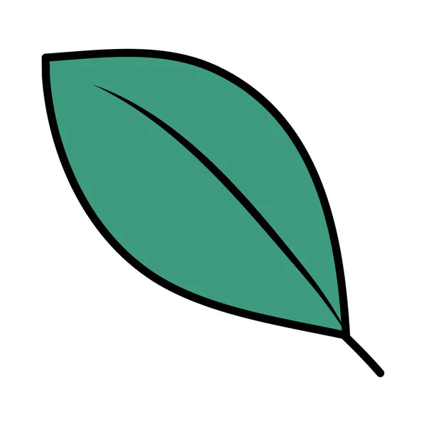生態葉植物アイコン — ストックベクタ