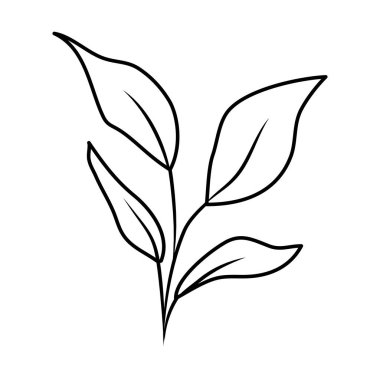 Yapraklı ağaç dalı.