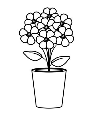 toprak kap içinde çiçek dekorasyon