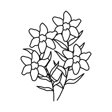 güzel çiçekler dekoratif simgesi