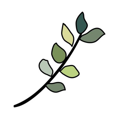 Yapraklı ağaç dalı.