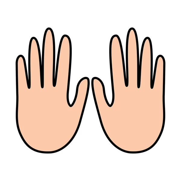 Τα χέρια δείχνουν τα πέντε δάχτυλα — Διανυσματικό Αρχείο