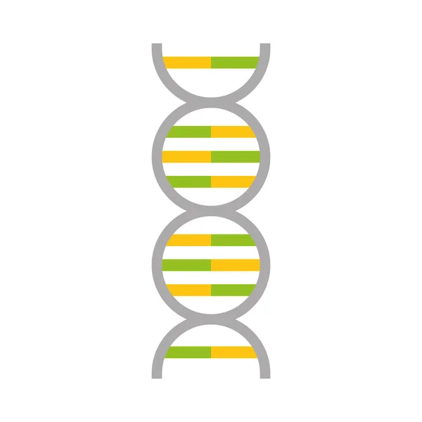 科学遺伝 dna — ストックベクタ