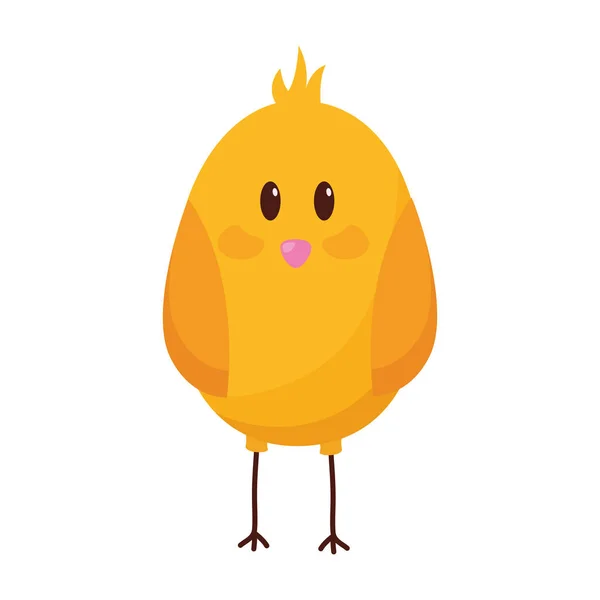 Poussin mignon oiseau — Image vectorielle