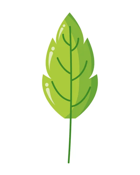 Φυλλώματα πράσινων φύλλων — Διανυσματικό Αρχείο