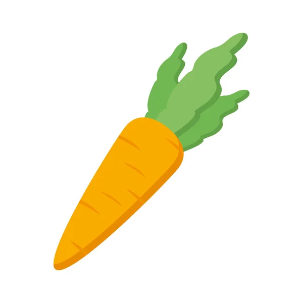 Zanahoria fresca icono vegetal — Vector de stock