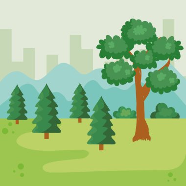 doğa pines ve çalılar ağacıyla Park
