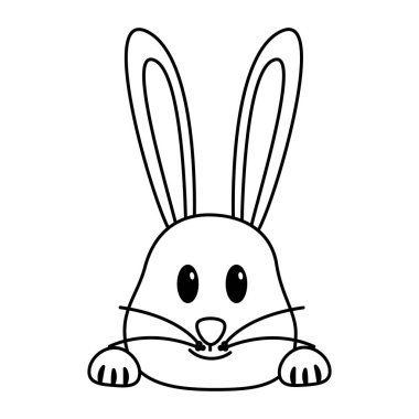 Sevimli tavşan surat.