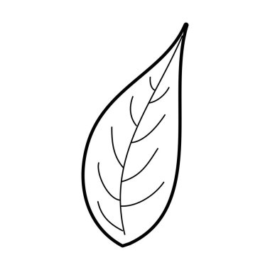 yaprak doğal bitki örtüsü botanik bitki örtüsü simgesi