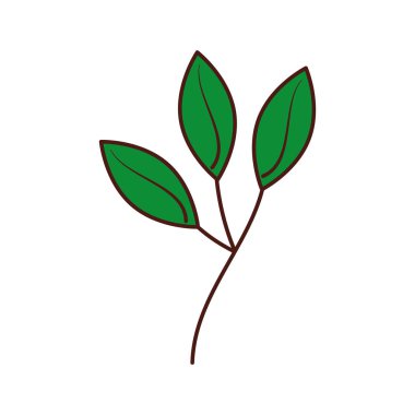 Şube bitki ile doğal bitki örtüsü Bahçe bırakır