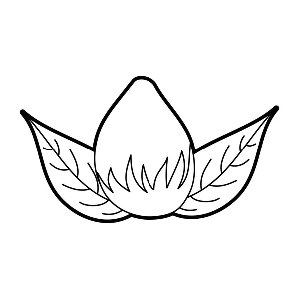 Blume Zwiebel Natur Blätter Laub Dekoration Symbol — Stockvektor