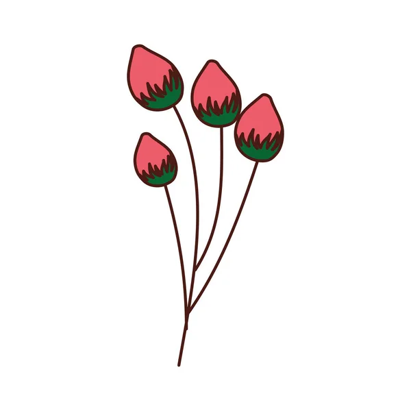 Jemný květ poupě květinové — Stockový vektor