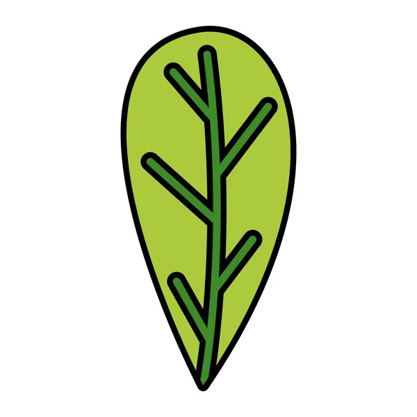 Follaje de hoja verde — Vector de stock