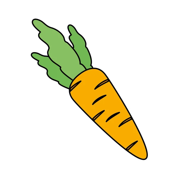 Tuore porkkana vihannes ikoni — vektorikuva