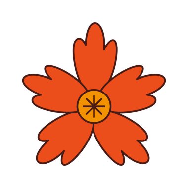 Çiğdem çiçek doğal Dekorasyon Süsleme