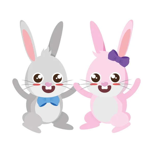 Beautiful rabbits couple easter characters — Stock Vector