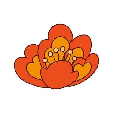 kiraz çiçek doğa narin çiçek resim