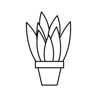 Saksılı bitki doğal dekorasyon izole tasarım