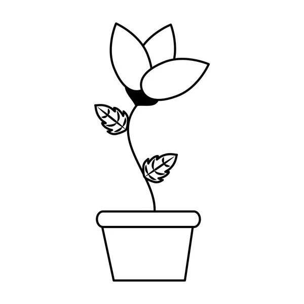 Krukväxt blomma dekoration — Stock vektor