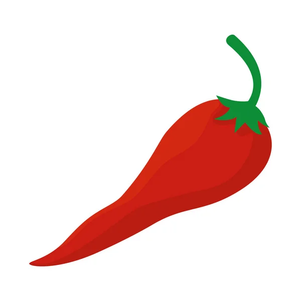 Fresh chili pepper vegetable icon — Stock Vector