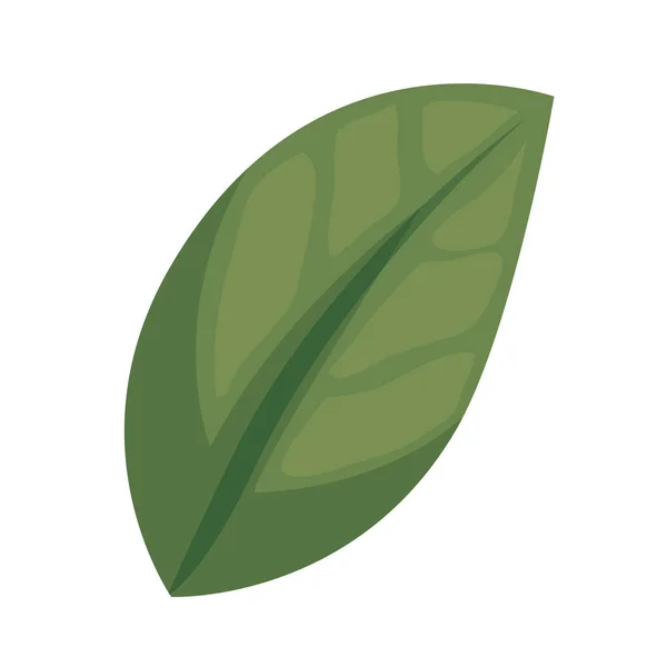 Hoja planta ecología icono — Vector de stock