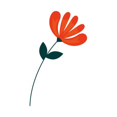 simge ile çiçek yaprakları