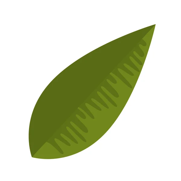 Ecologie blad plant pictogram — Stockvector