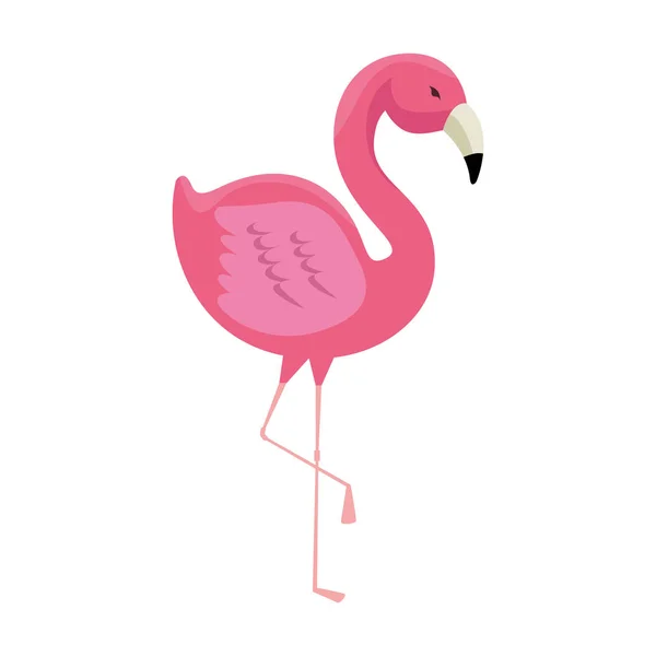 Ícone de pássaro flamingo elegante —  Vetores de Stock