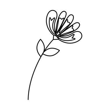 simge ile çiçek yaprakları