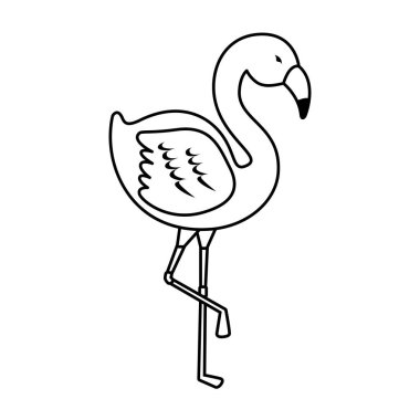 zarif flamingo kuş simgesi