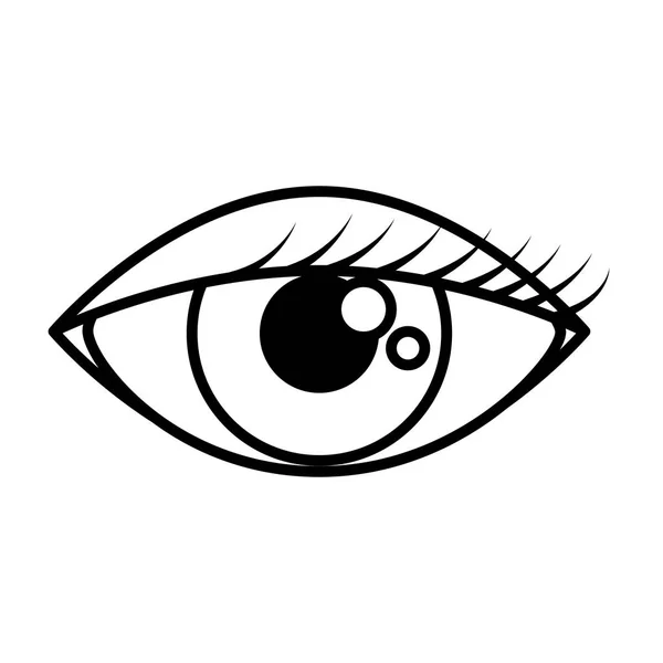 Oeil féminin icône isolée — Image vectorielle