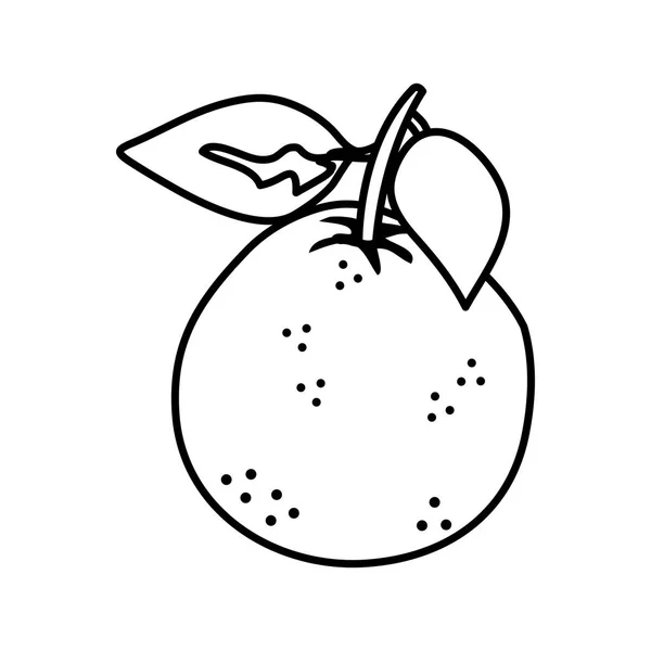 Laranja ícone de frutas frescas —  Vetores de Stock