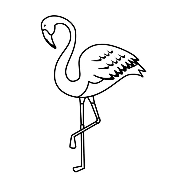 Ícone de pássaro flamingo elegante — Vetor de Stock