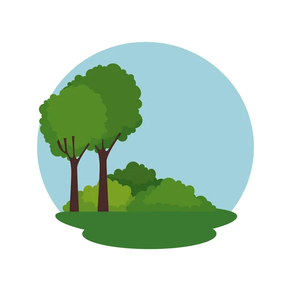 Forest landscape scene icon — Stock Vector