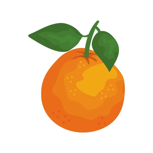 Naranja fruta fresca icono — Archivo Imágenes Vectoriales