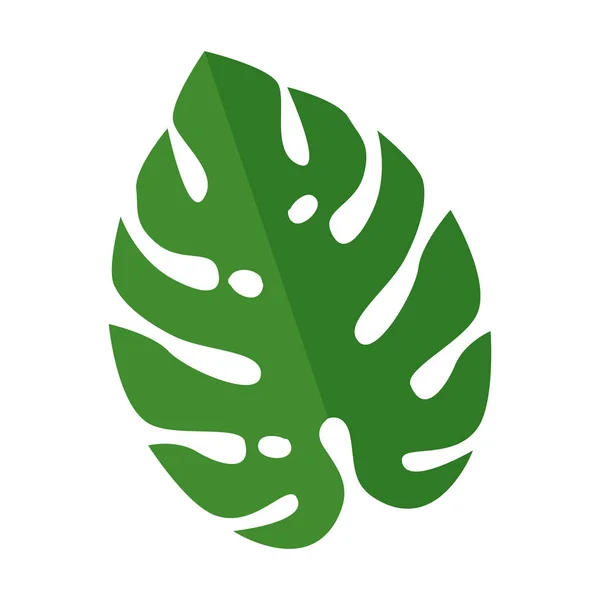 Тропические экзотические листья — стоковый вектор
