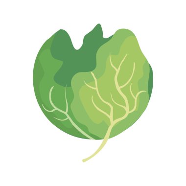 taze marul sebze simgesi