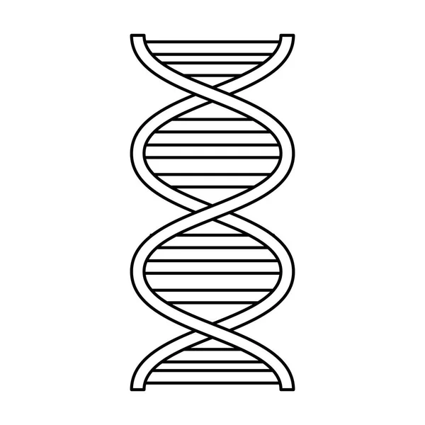 DNA molekülü bilim simgesi — Stok Vektör